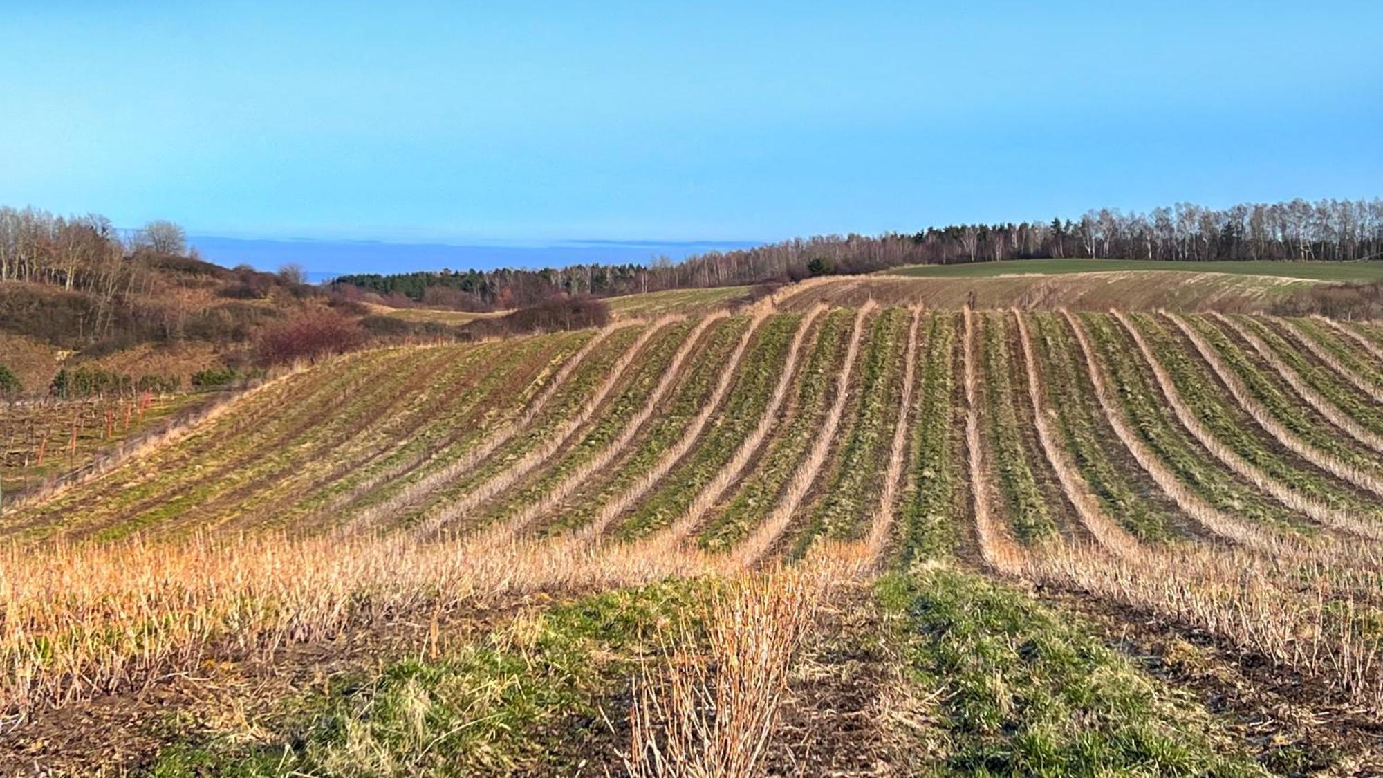 Osada Nad Zalewem Villa Tolkmicko Bagian luar foto