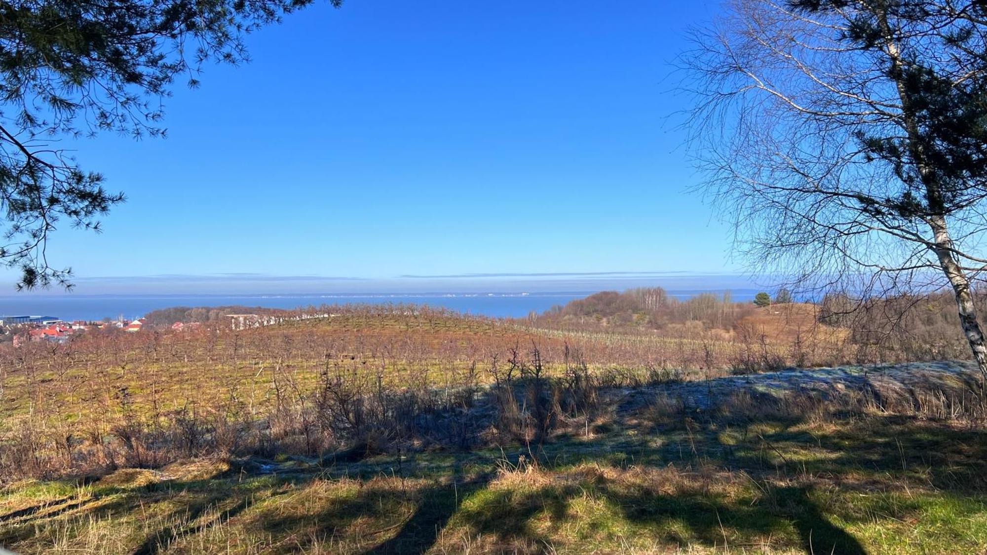 Osada Nad Zalewem Villa Tolkmicko Bagian luar foto