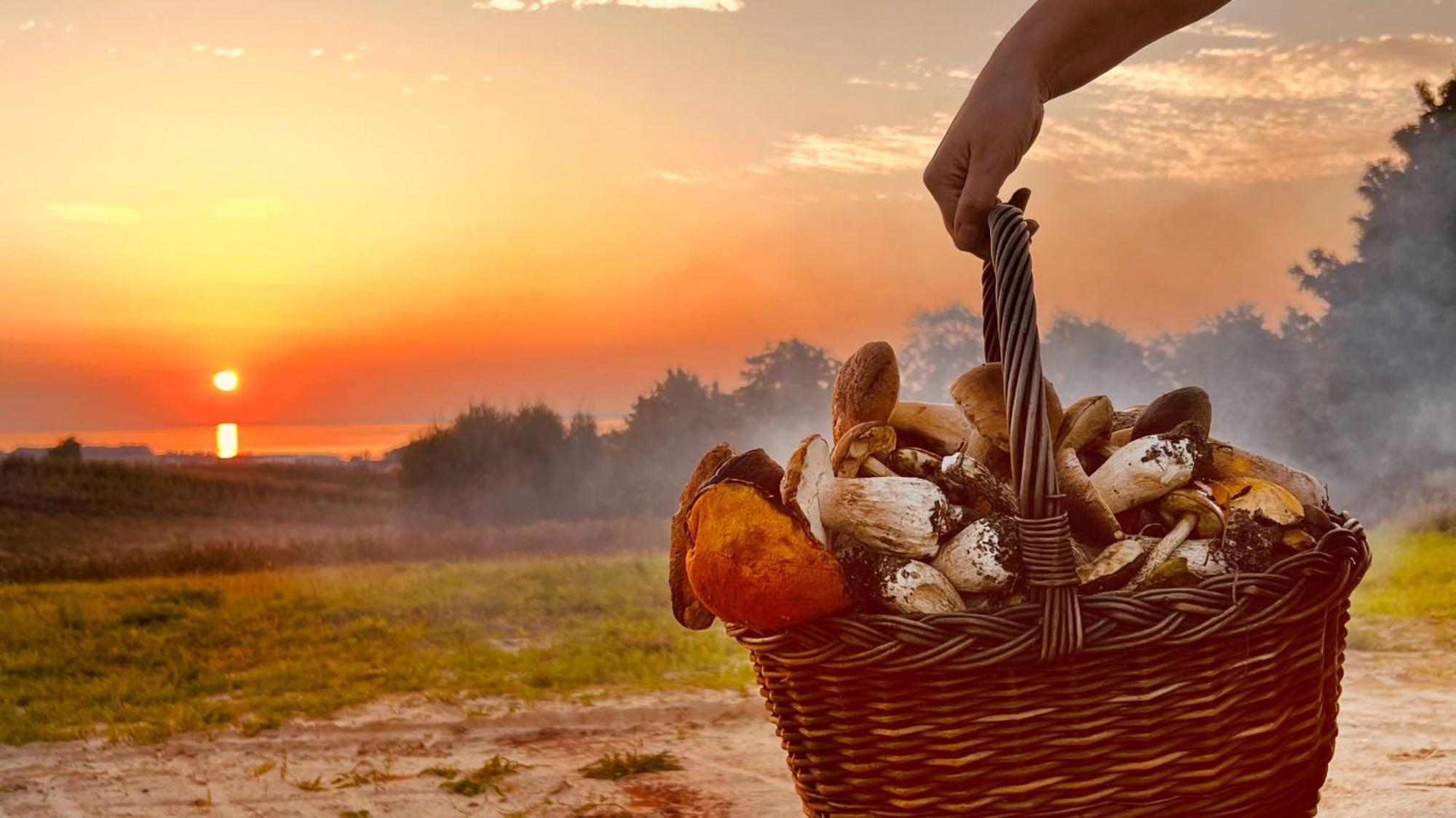 Osada Nad Zalewem Villa Tolkmicko Bagian luar foto