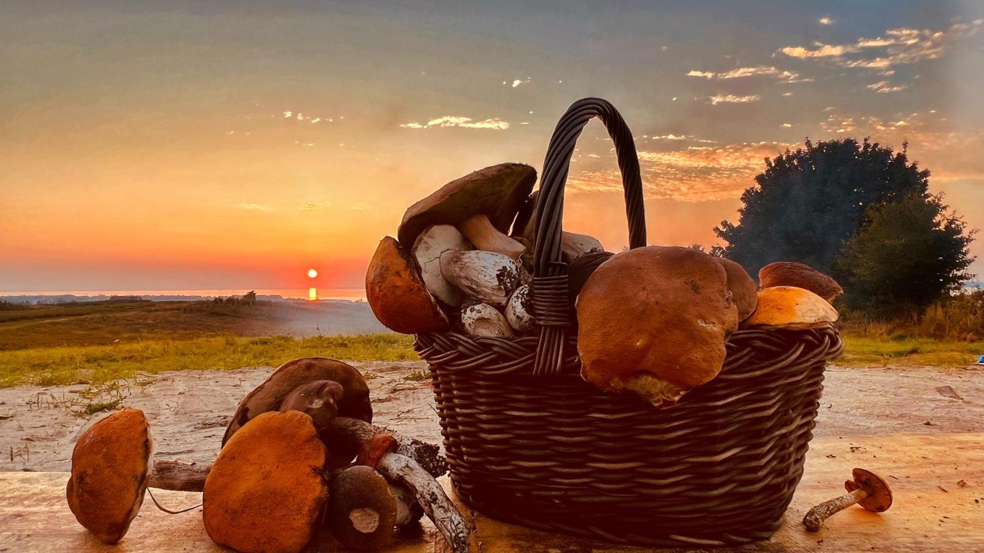 Osada Nad Zalewem Villa Tolkmicko Bagian luar foto